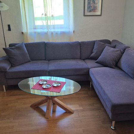 Paradies 2 Castellberg-Jakobsweg Döttingen 외부 사진