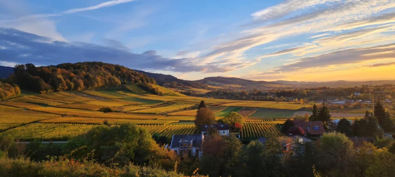 Paradies 2 Castellberg-Jakobsweg Döttingen 외부 사진