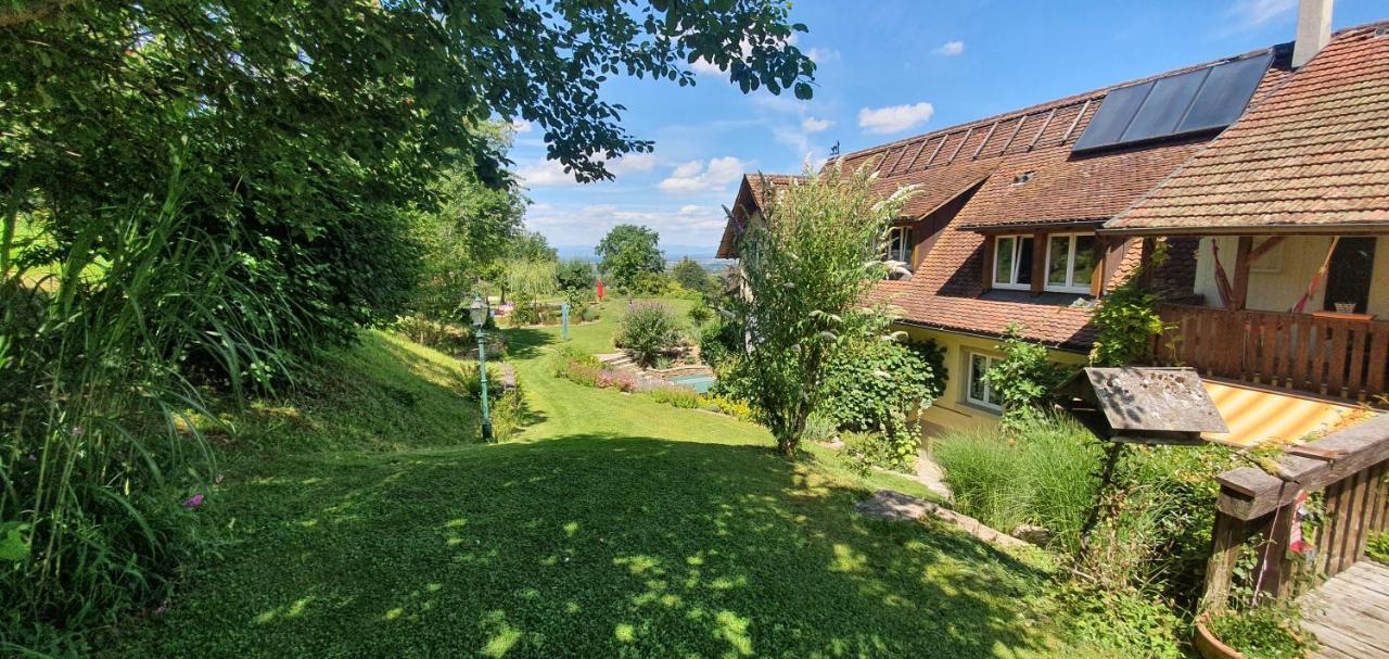 Paradies 2 Castellberg-Jakobsweg Döttingen 외부 사진