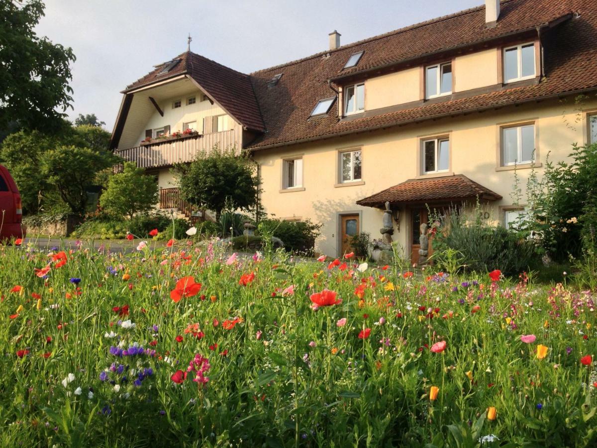 Paradies 2 Castellberg-Jakobsweg Döttingen 외부 사진