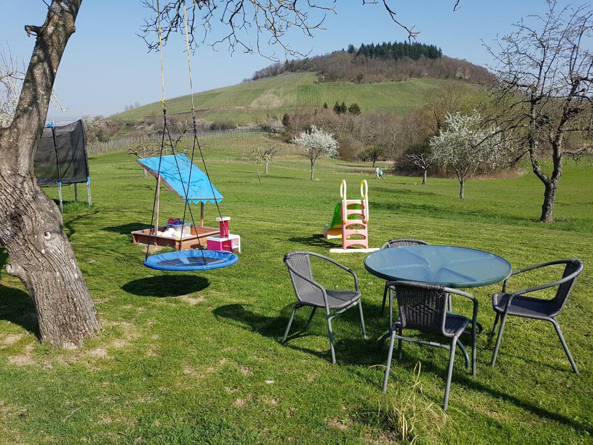 Paradies 2 Castellberg-Jakobsweg Döttingen 외부 사진